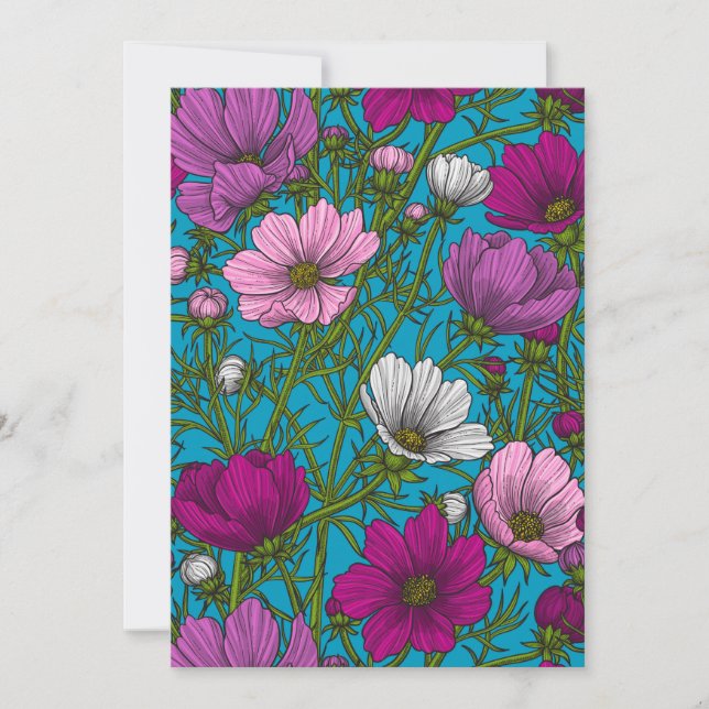 Cosmos mix on blue (Front)