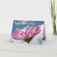 Cosmos Mother's Day