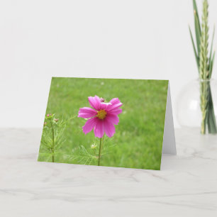 Cosmos notecard