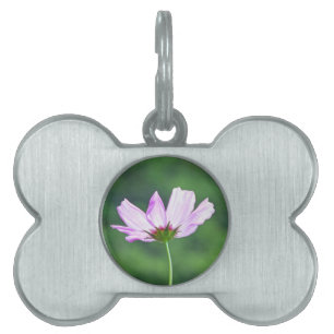Cosmos Pet ID Tag