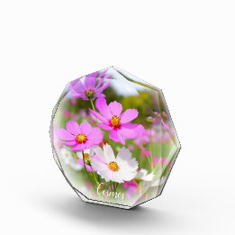 Cosmos Photo Block