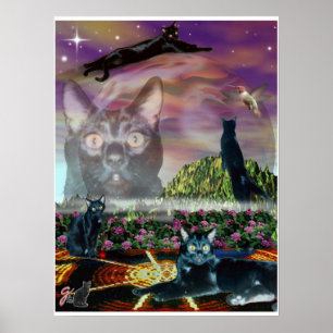 Cosmos Poster