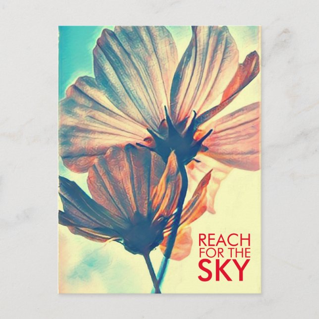 Cosmos Reach for the Sky Postcard (Front)