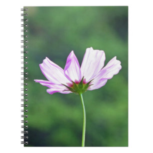 Cosmos Spiral Notebook