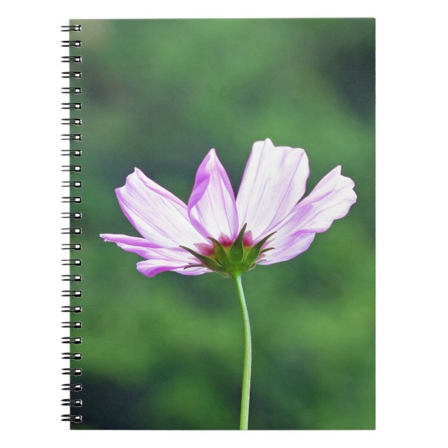 Cosmos Spiral Notebook (Front)