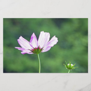 Cosmos Stationery