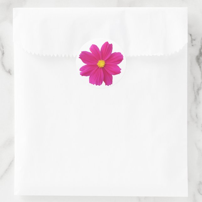 Cosmos Sticker (Bag)