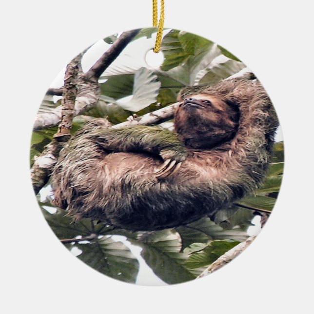 Cosra Rican sloth Ceramic Tree Decoration (Front)
