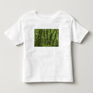 Costa Rica, Arenal National Park, rainforest Toddler T-Shirt