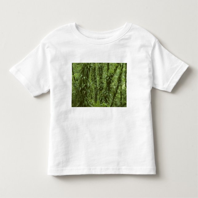 Costa Rica, Arenal National Park, rainforest Toddler T-Shirt (Front)