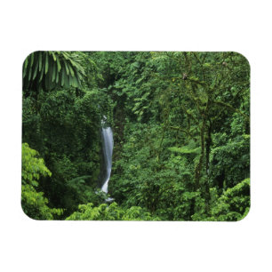 Costa Rica, Arenal Volcano area, Hanging Bridges Magnet