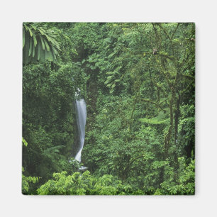 Costa Rica, Arenal Volcano area, Hanging Bridges Magnet