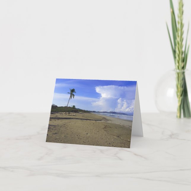 Costa Rica Beach with Palm Tree Photo Folded Note Card (Front)