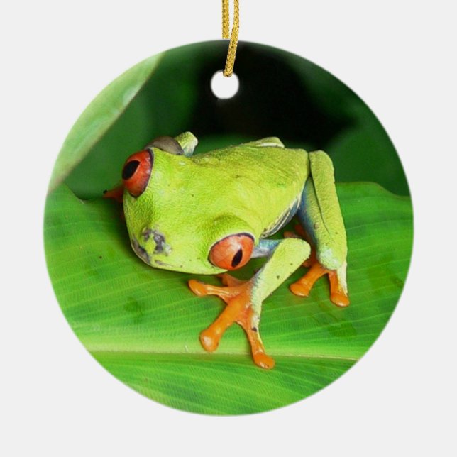 Costa Rica Ceramic Tree Decoration (Front)