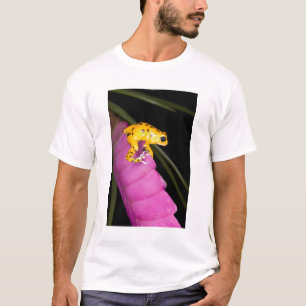 Costa Rica. Close-up of poison dart frog T-Shirt