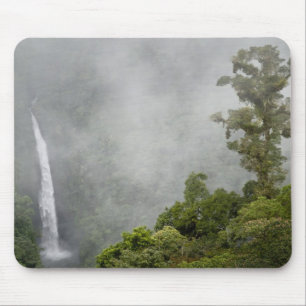 Costa Rica, cloud forest in mountains near La Mouse Pad