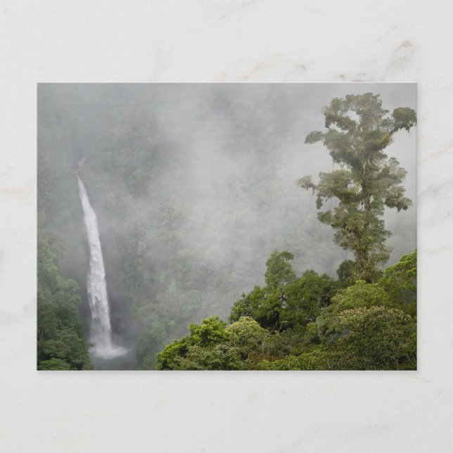 Costa Rica, cloud forest in mountains near La Postcard (Front)