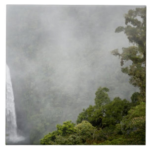 Costa Rica, cloud forest in mountains near La Tile