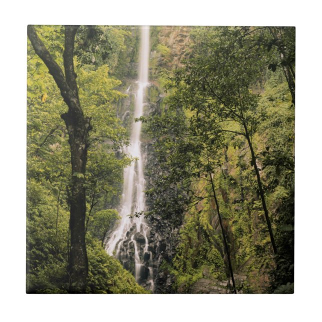 Costa Rica, Cocos Island, Wafer Bay Waterfall Tile (Front)