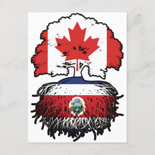 Costa Rica Costa Rican Canadian Canada Tree Roots Postcard