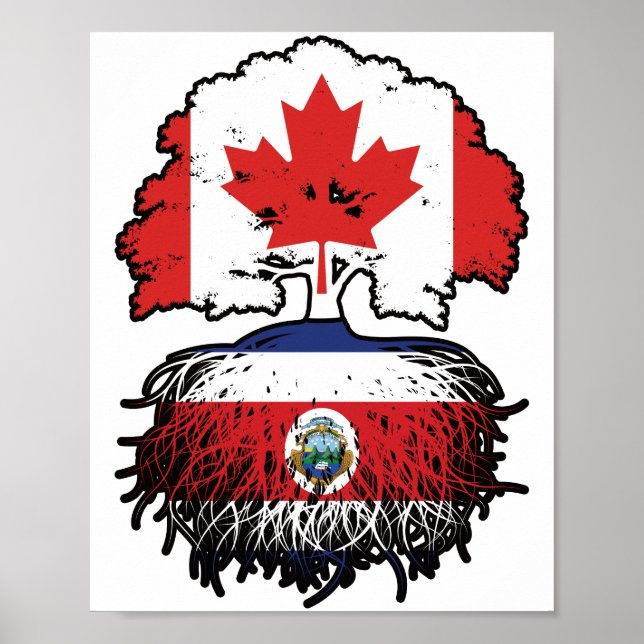 Costa Rica Costa Rican Canadian Canada Tree Roots Poster (Front)
