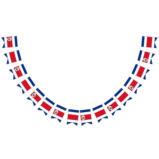 Costa Rica flag bunting banner (All)
