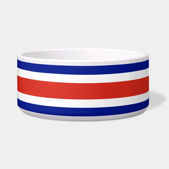 Costa Rica Flag Pet Bowl (Front)