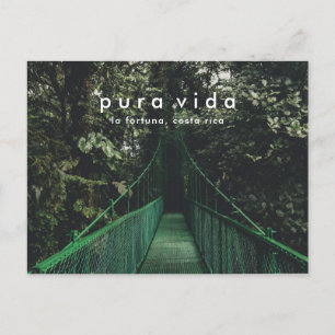 Costa Rica Hanging Bridges Canopy Postcard