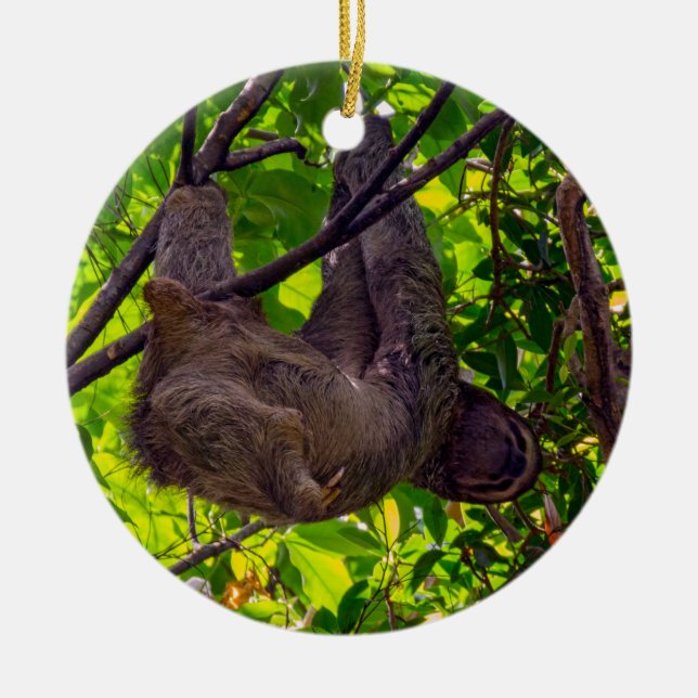 Costa Rica - Happy  Lazy Sloth, Antonio Manuel NP Ceramic Tree Decoration (Front)