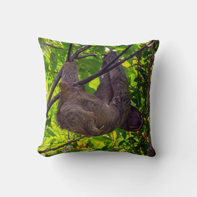 Costa Rica - Happy  Lazy Sloth, Antonio Manuel NP Cushion (Front)