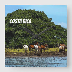 Costa Rica - Horses by the Water Square Wall Clock