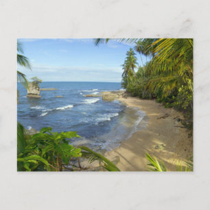 Costa Rica, Manzanillo Wildlife Refuge Postcard