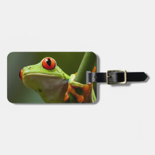 Costa Rica, Monteverde, Red-Eyed Tree Frog Luggage Tag