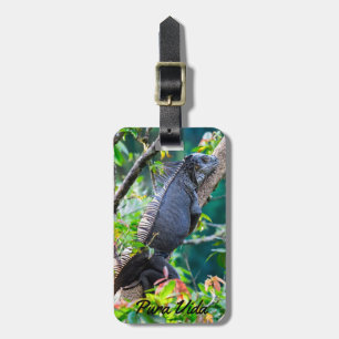 Costa Rica, Muelle - Lazy Iguana resting in a tree Luggage Tag