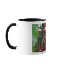 Costa Rica mug