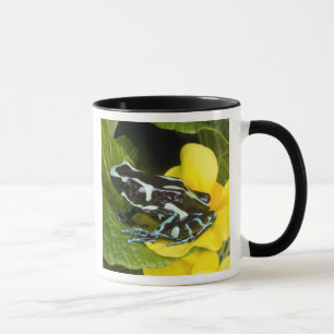 Costa Rica, Osa Peninsula Mug