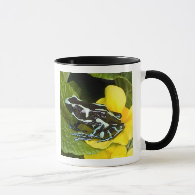 Costa Rica, Osa Peninsula Mug (Right)