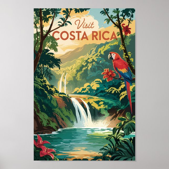 Costa Rica Parrot Illustration Travel Art Vintage Poster (Front)