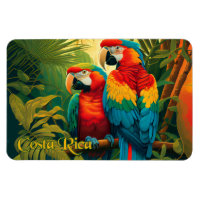 Costa Rica Parrots