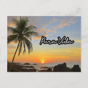 Costa Rica Pura Vida Beach Souvenir Postcard