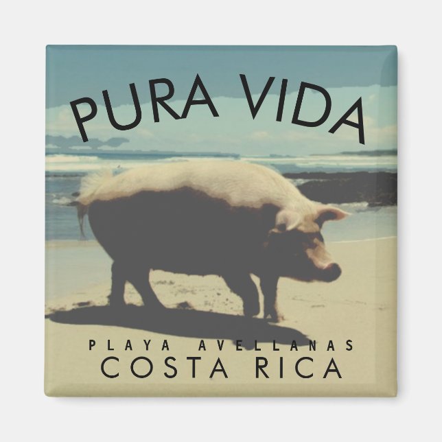 Costa Rica Pura Vida Your Photo Souvenir Magnet (Front)