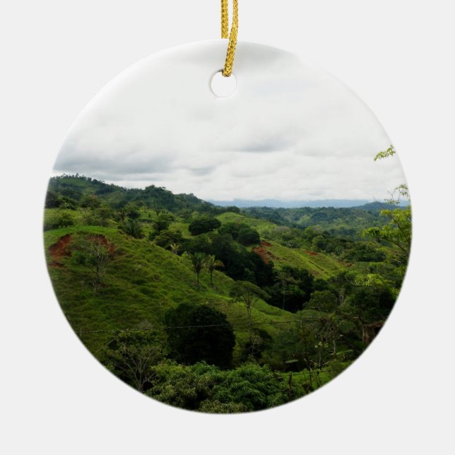 Costa Rica Rain Forest Ceramic Tree Decoration (Front)