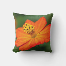 Costa Rica Rainforest Outdoor Pillows