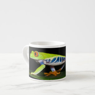 Costa Rica, Red-eyed Tree Frog (Agalychnis Espresso Cup