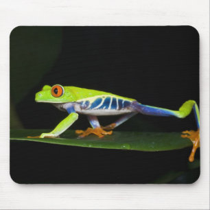 Costa Rica, Red-eyed Tree Frog (Agalychnis Mouse Pad