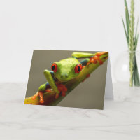 Costa Rica Red-Eyed Tree Frog "I See You" Blank