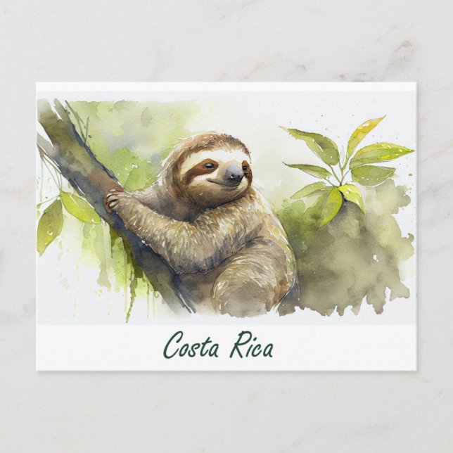 Costa Rica Sloth Postcard (Front)