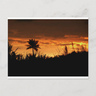 Costa Rica Sunset Postcard