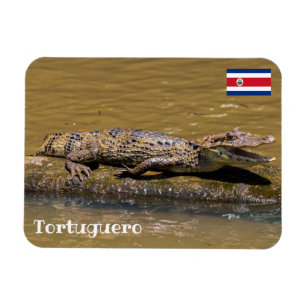 Costa Rica, Tortuguero - Smilling crocodile Magnet