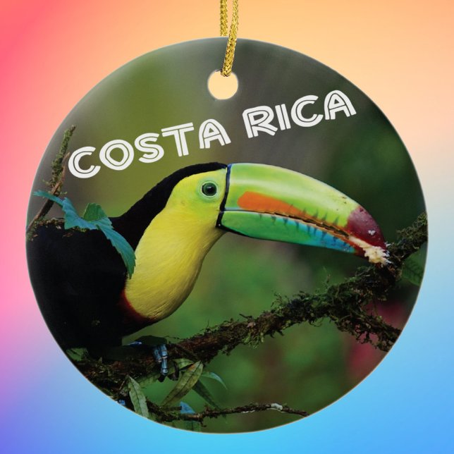 Costa Rica Toucan Ceramic Tree Decoration (Creator Uploaded)